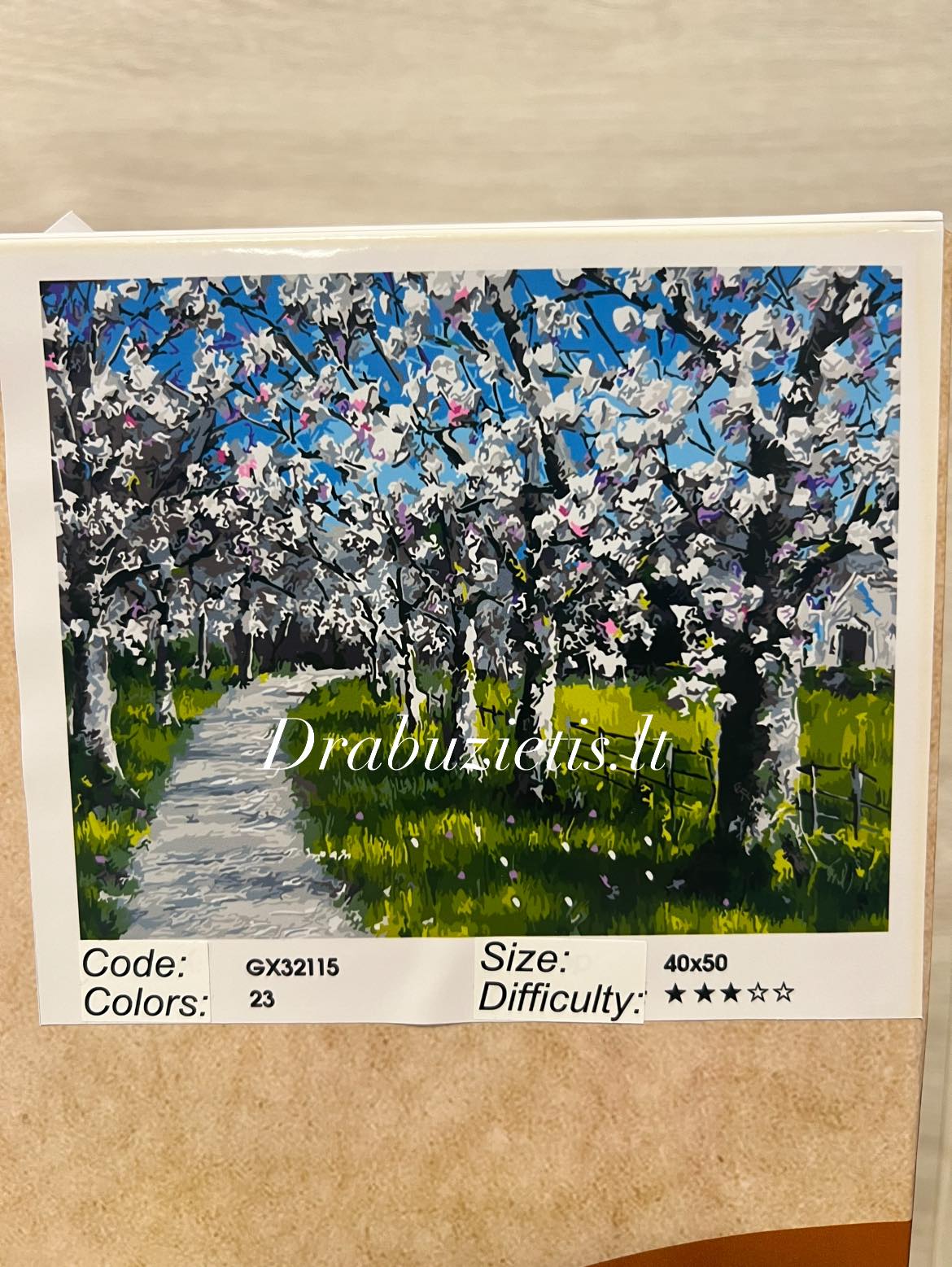 Tapyba pagal skaičius - Žydintys medžiai 40x50 cm