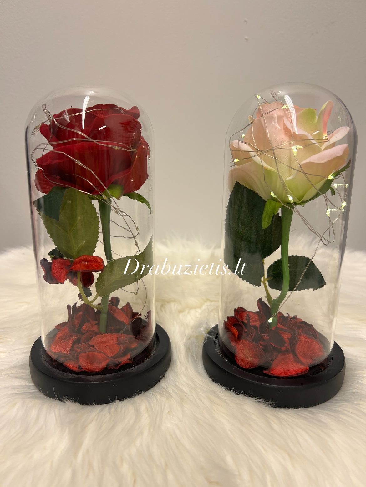 Rožė po stiklo gaubtu